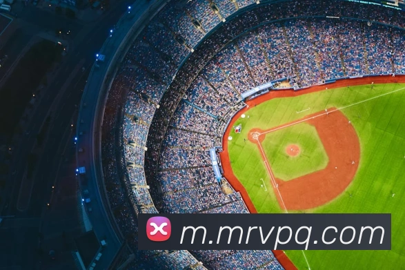 世界杯官方认证平台发展历程
